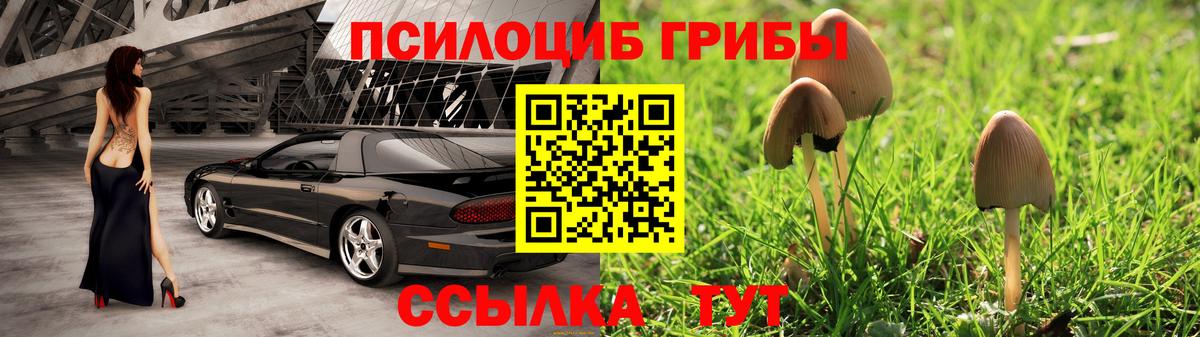 Псилоцибиновые грибы мицелий  Вход с VPN  Грозный 